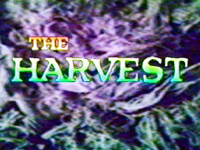 The Harvest