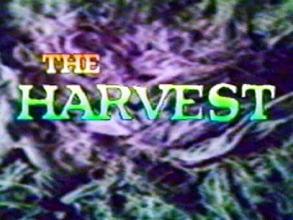 The Harvest