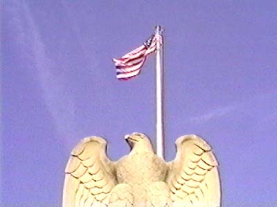 Eagle Flag