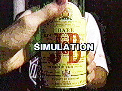 Simulation