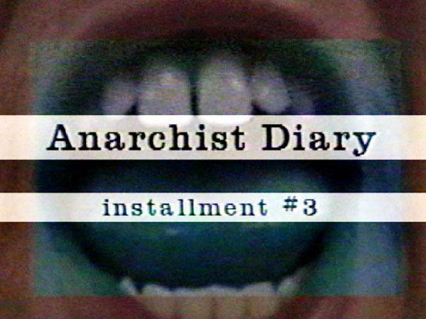 Anarchy Diary: Installment #3