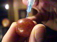Grape Injection