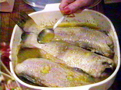 Fish Baste