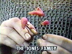 The Jones Family