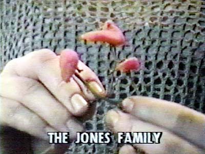 The Jones Family