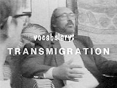 Vocabulary: Transmigration