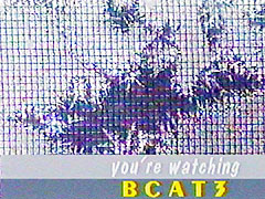 You're Watching BCAT3